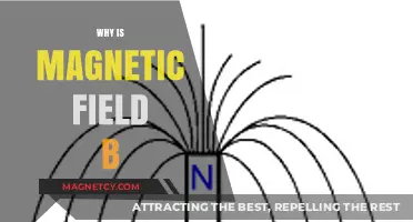 Exploring the Mysteries of Magnetic Field B: A Comprehensive Guide