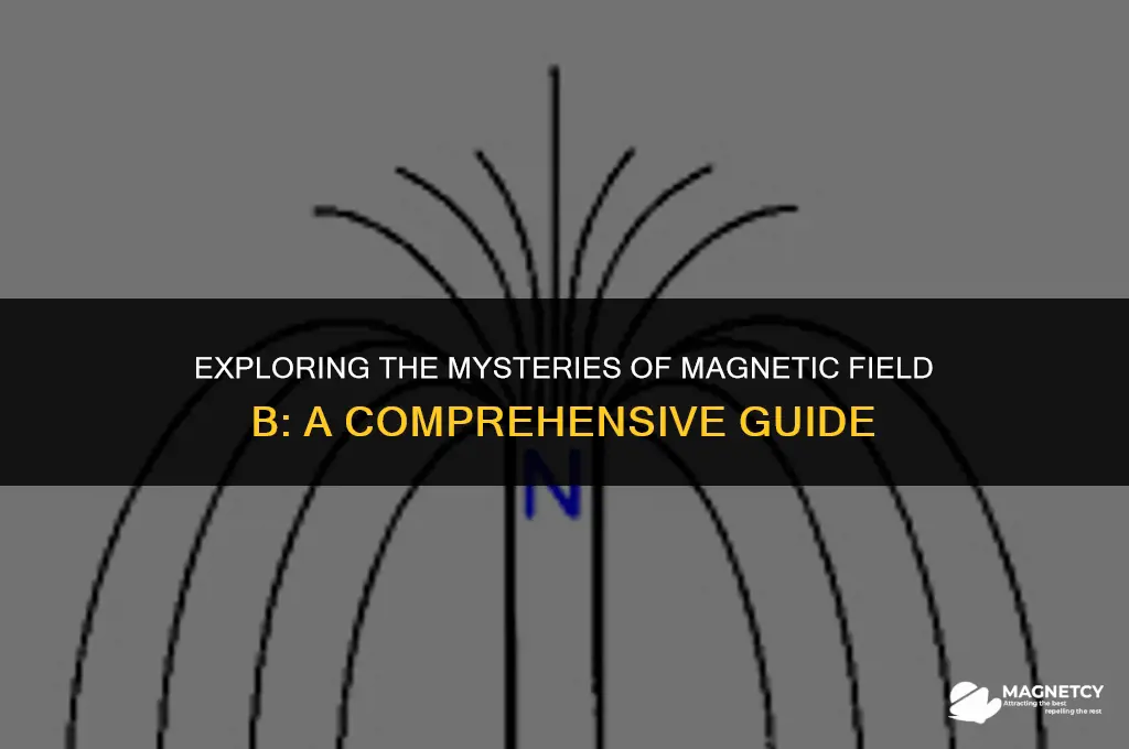 why is magnetic field b