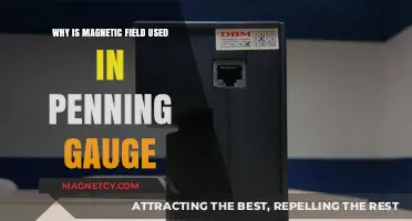 Magnetic Fields in Penning Gauges: Enhancing Vacuum Measurement Accuracy
