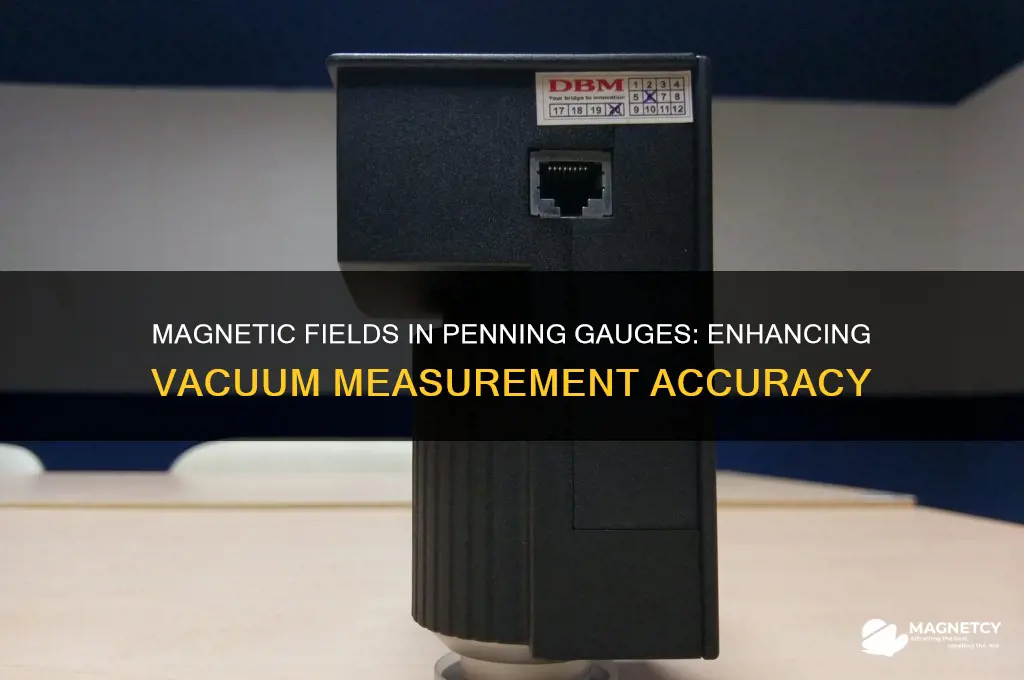 why is magnetic field used in penning gauge