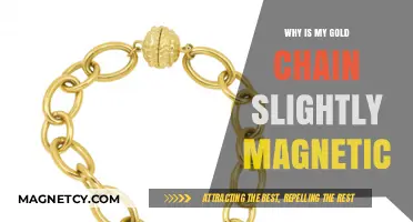 Unveiling the Mystery: Why Your Gold Chain Might Be Magnetic