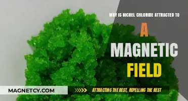 Nickel Chloride's Magnetic Attraction: Unraveling the Paramagnetic Mystery