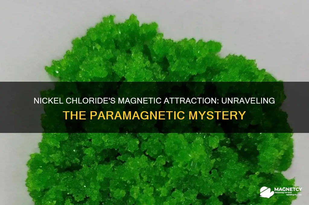why is nickel chloride attracted to a magnetic field