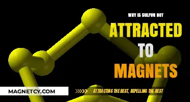 Why Sulfur Resists Magnetic Attraction: Unraveling the Science Behind It