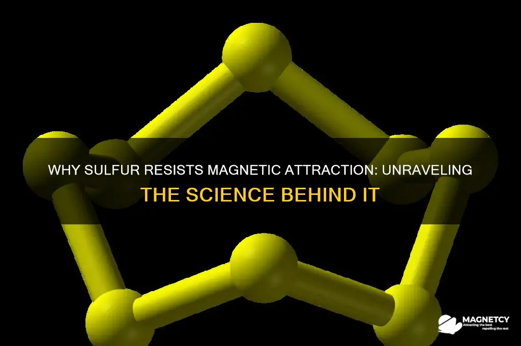 why is sulfur not attracted to magnets