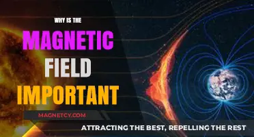 Unlocking the Power of Magnetism: Why the Magnetic Field Matters