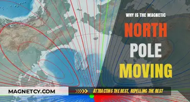 Shifting Compass: The Intriguing Journey of Earth's Magnetic North Pole
