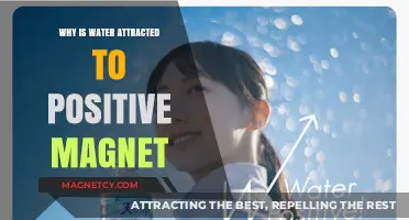Why Water is Drawn to Positive Magnets: Unraveling the Science