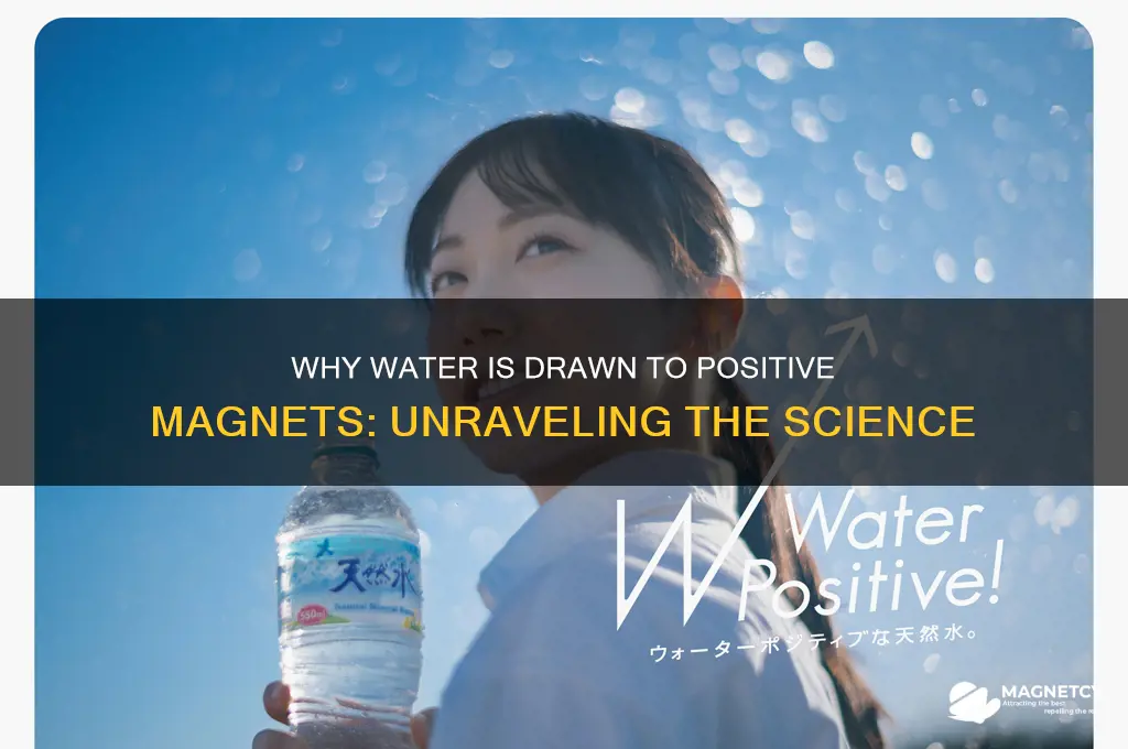 why is water attracted to positive magnet
