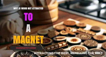 Why Wood Resists Magnetic Pull: Unraveling the Science Behind It