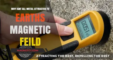 Why Not All Metals Respond to Earth's Magnetic Field