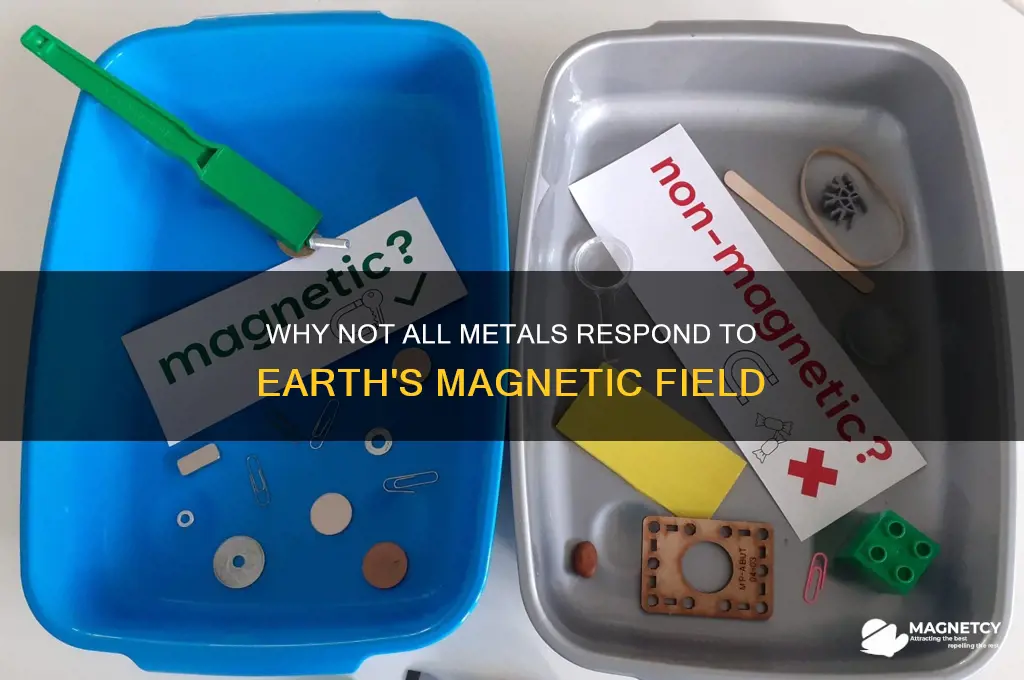 why isnt all metal attracted to earths magnetic feild