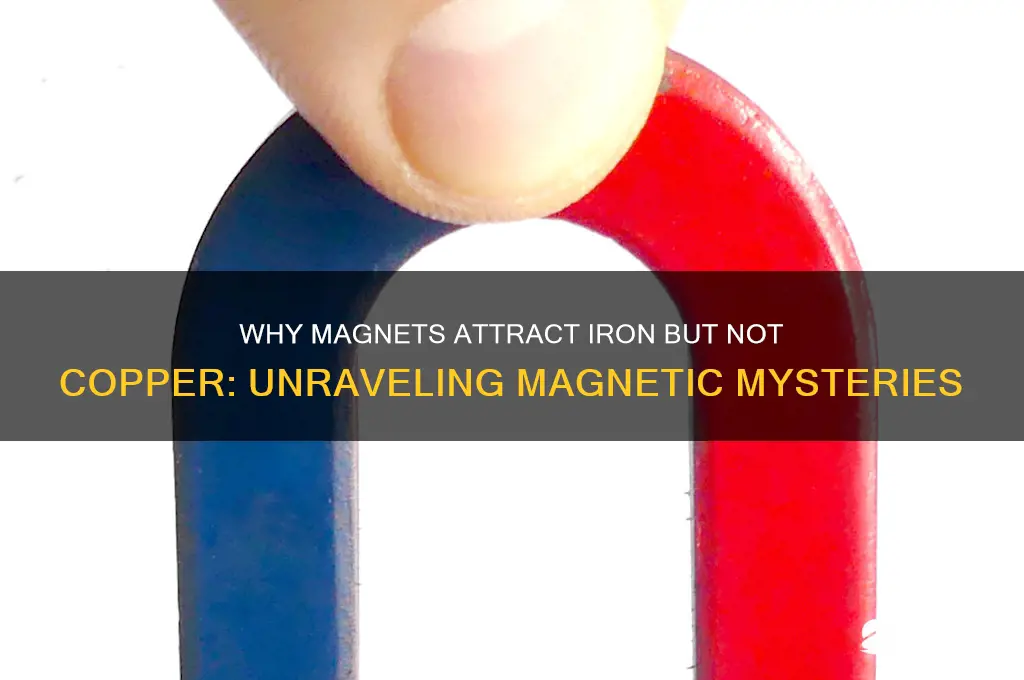 why magnet attract iron but not copper