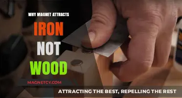 Magnetic Mysteries: Why Iron Attracts, But Wood Resists