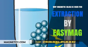 Magnetic Silica: Easymag's Efficient Extraction Solution Explained