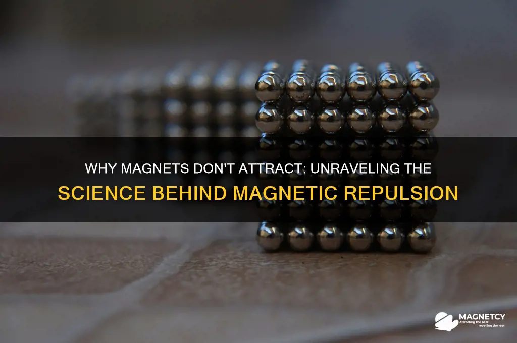 why magnets don