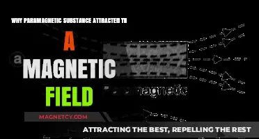 Why Paramagnetic Substances Are Drawn to Magnetic Fields: Explained