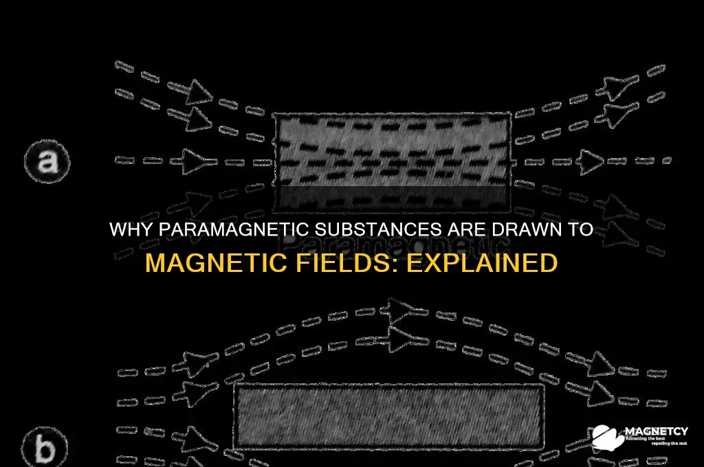 why paramagnetic substance attracted to a magnetic field