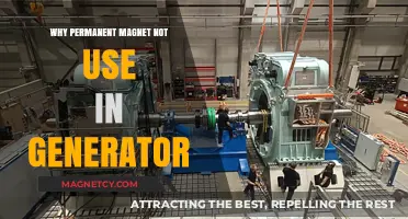 Why Permanent Magnets Are Rarely Used in Generators: Key Reasons Explained