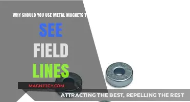 Visualize Magnetic Fields Clearly with Metal Magnets: A Practical Guide