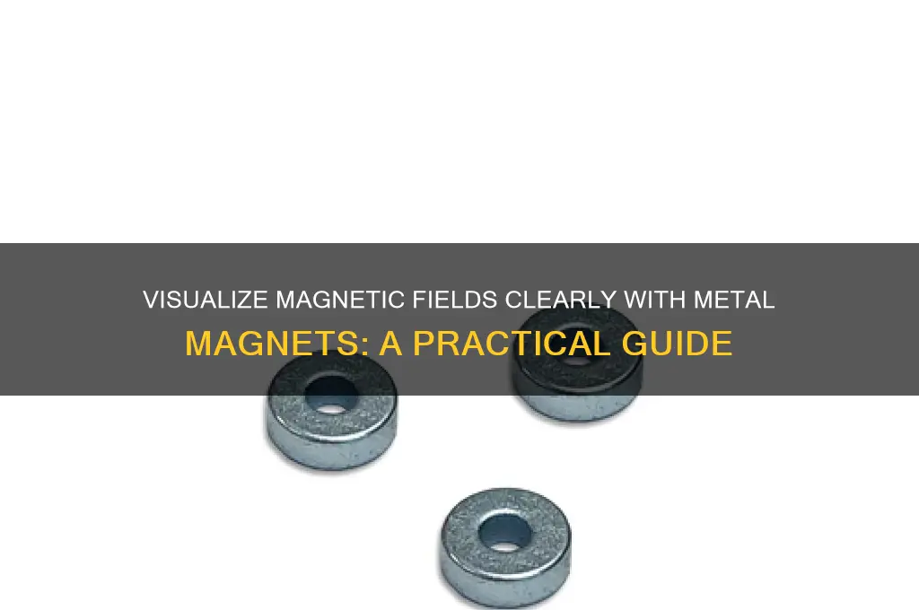 why should you use metal magnets to see field lines