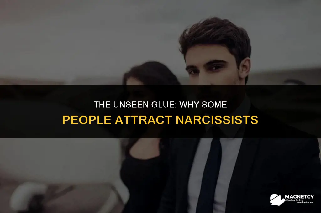 why some people are magnets for narcissits