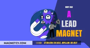 Boost Conversions: Why Use a Lead Magnet in Your Strategy