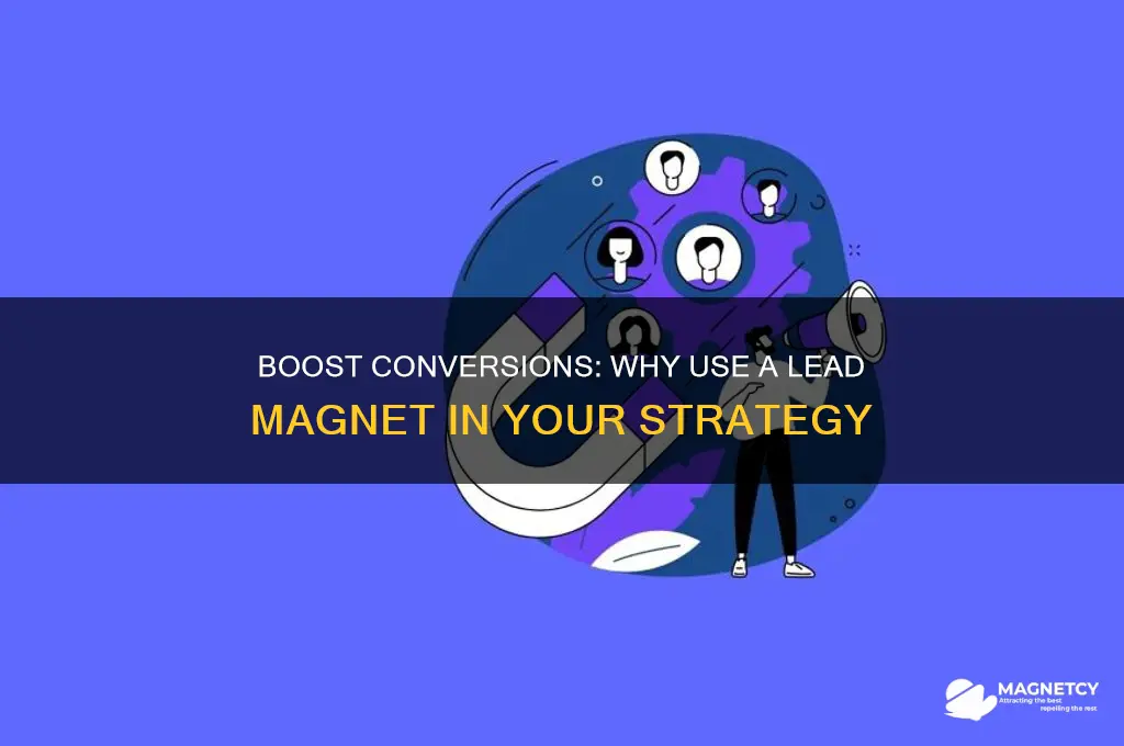 why use a lead magnet