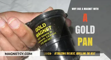 Magnet Magic: Enhancing Gold Panning Efficiency and Treasure Recovery