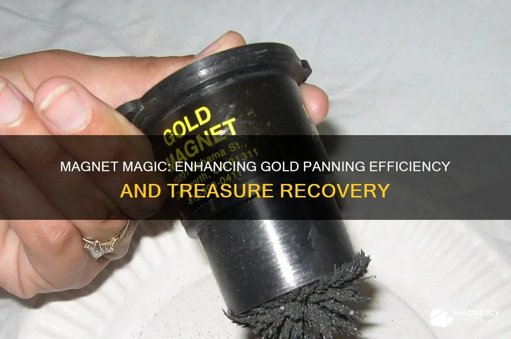 why use a magnet with a gold pan
