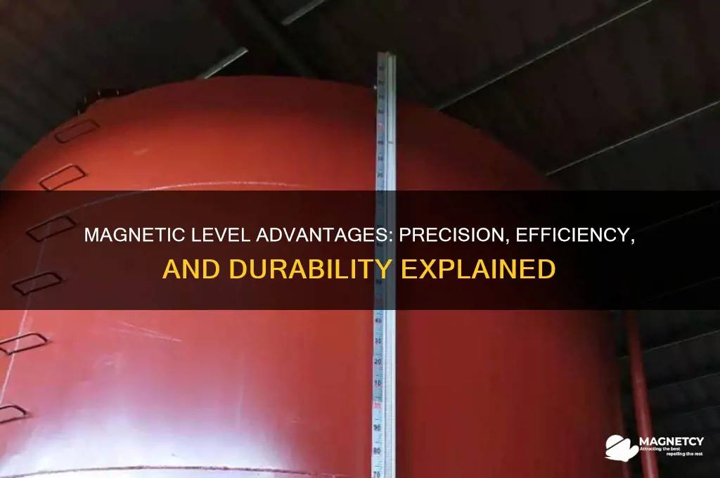why use a magnetic level