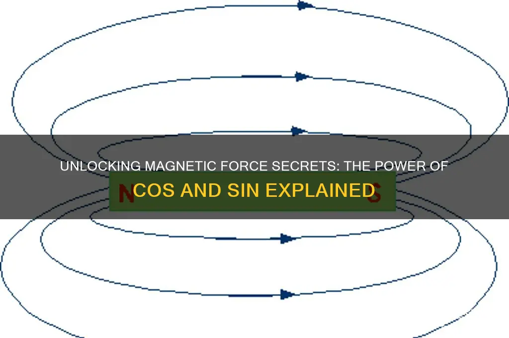 why use cos and sin magnetic force