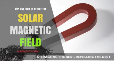 Iron's Unique Role in Unveiling the Sun's Magnetic Field Secrets