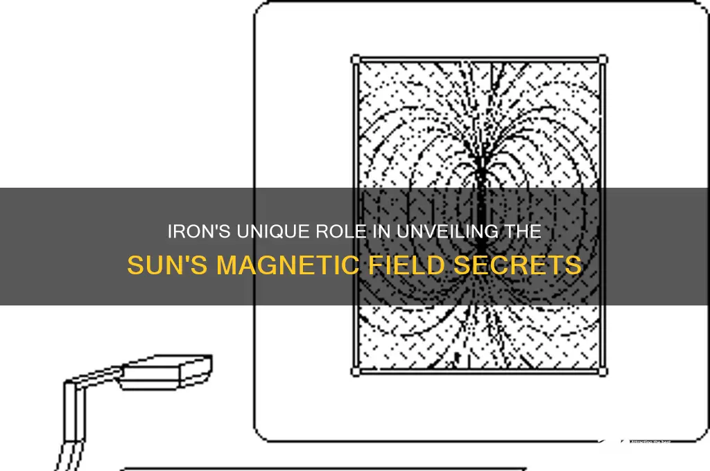 why use iron to detect the solar magnetic field