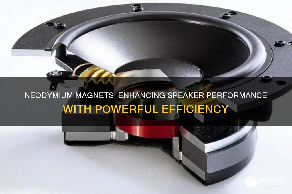 why use neodymium magnets in speakers
