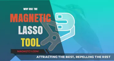 Mastering Precision: Why Use the Magnetic Lasso Tool in Photoshop