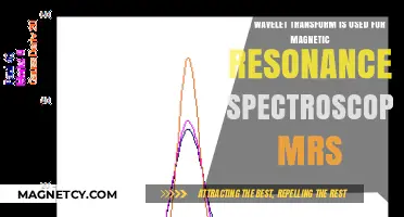 Wavelet Transform Enhances Magnetic Resonance Spectroscopy Precision and Resolution