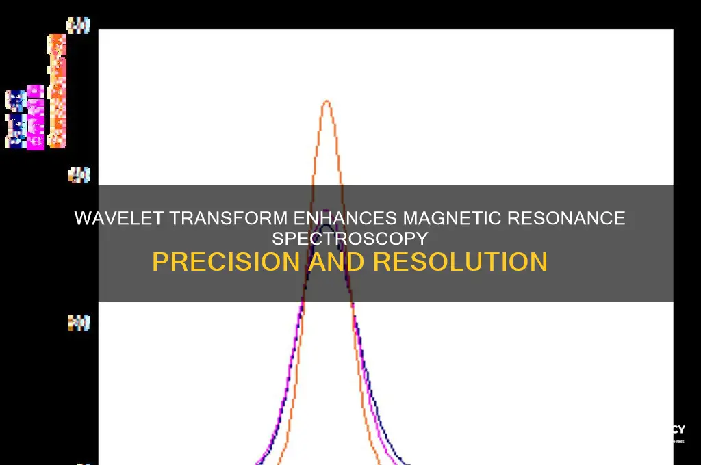 why wavelet transform is used for magnetic resonance spectroscopy mrs