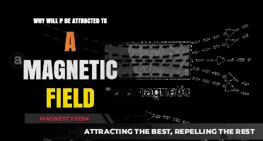 Why Paramagnetic Materials Are Drawn to Magnetic Fields: Explained