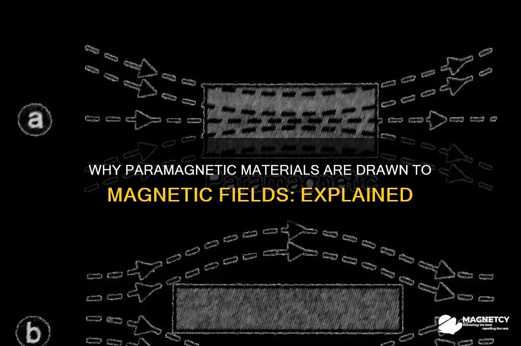 why will p be attracted to a magnetic field