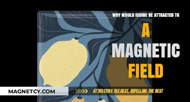 Why Iodine's Magnetic Attraction: Unraveling the Science Behind the Phenomenon