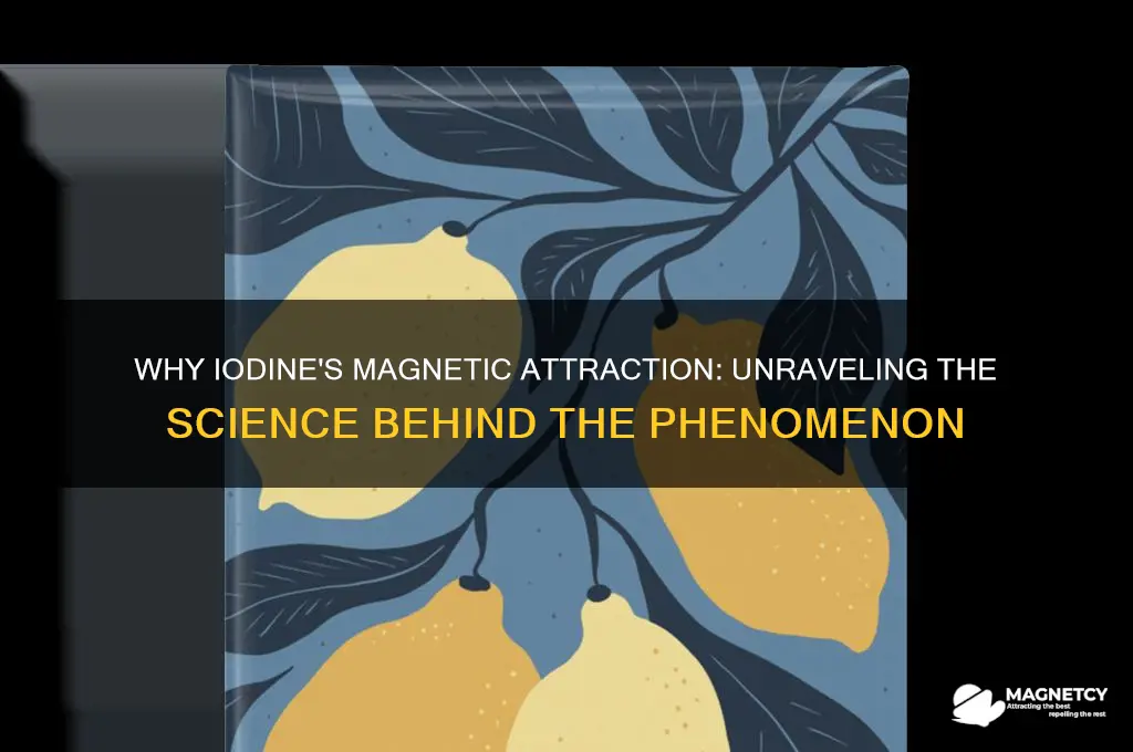 why would iodine be attracted to a magnetic field