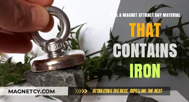 Magnetic Attraction: Does Iron Content Guarantee Material Magnetism?