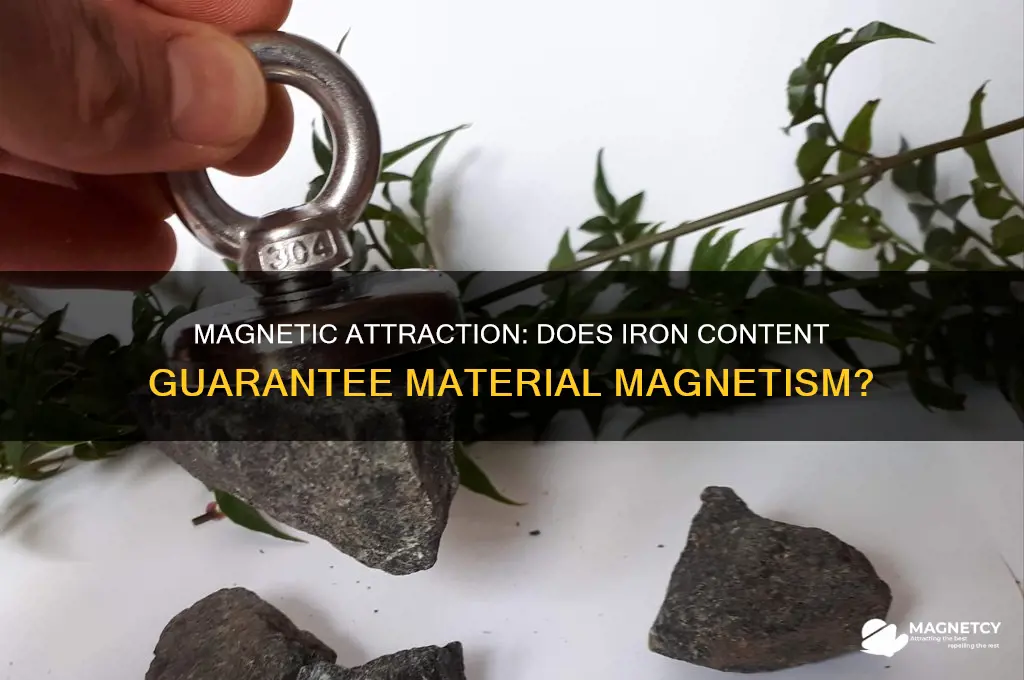 will a magnet attract any material that contains iron