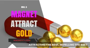 Does Gold Stick to Magnets? Unveiling the Truth About Magnetism and Gold