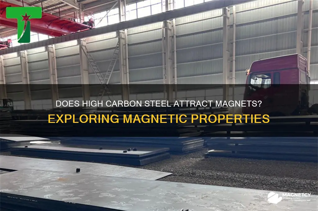 will a magnet attract high carbon steel