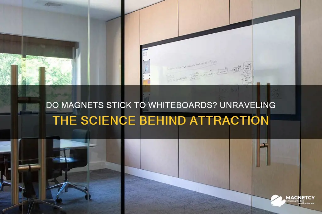 will a magnet attract to a whiteboard
