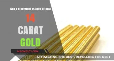 Does Neodymium Magnet Attract 14 Carat Gold? Unveiling the Truth