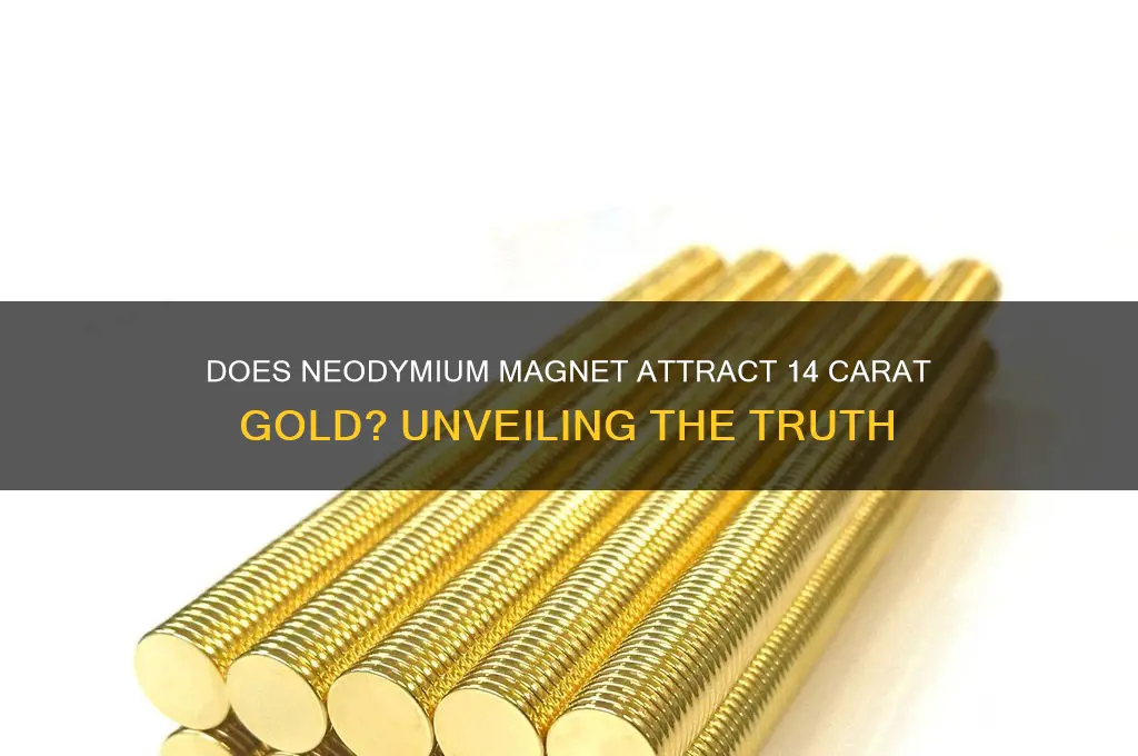 will a neodymium magnet attract 14 carat gold