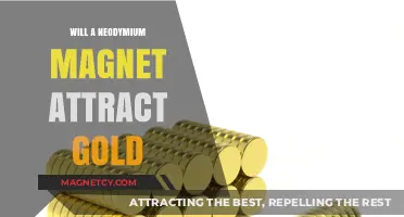 Does Neodymium Magnet Attract Gold? Unveiling the Magnetic Mystery